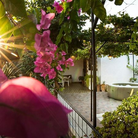 Villa Agia Paraskevi Іялісос Екстер'єр фото